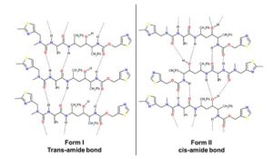 Ritonavir: The Polymorph That Revolutionized Drug