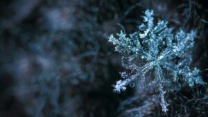 Snowflake