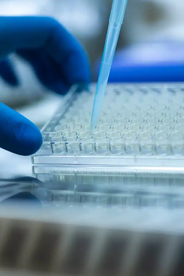 polymorph-screening-services